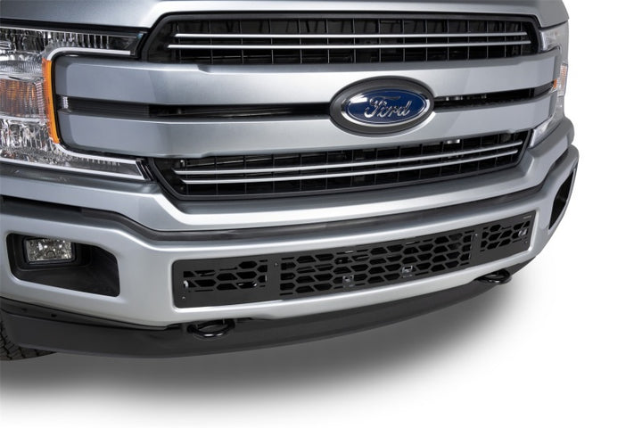 Putco 18-20 Ford F-150 - Hex Shield - Black Powder Coated Bumper Grille Inserts - Bull Strap