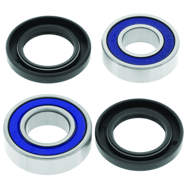 QuadBoss 06-20 Can-Am DS 250 Lower Steering Bearing Kit - Bull Strap