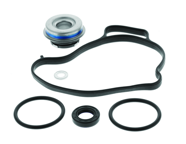 QuadBoss 17-18 Can-Am Maverick X3 900 HO Water Pump Rebuild Kit - Bull Strap