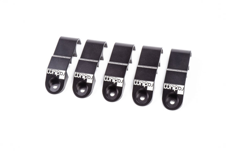Radium Engineering Nissan R-35 GT-R Fuel Line Retaining Kit - Bull Strap