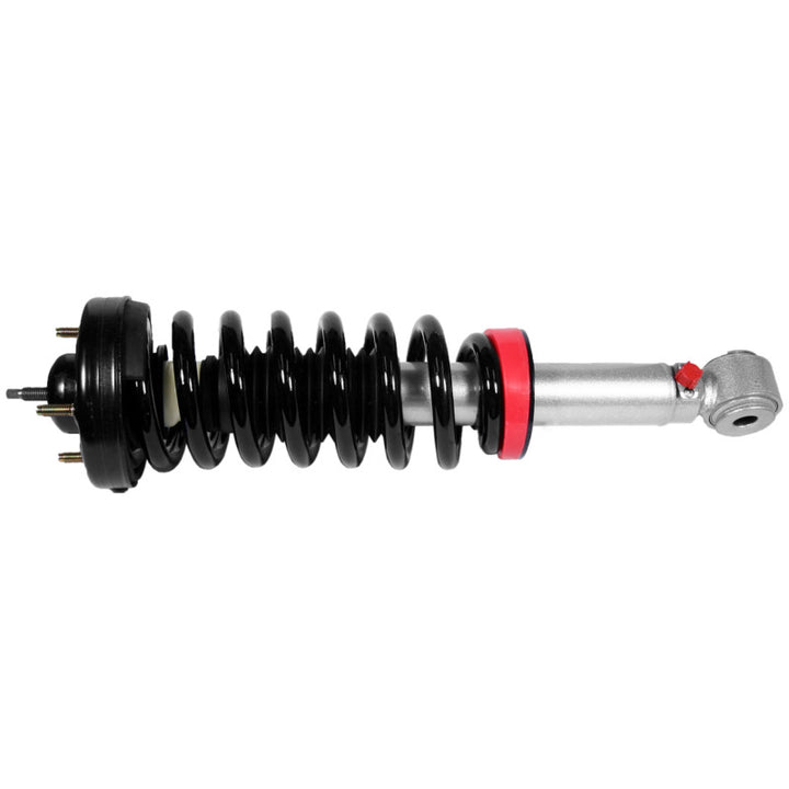 Rancho 09-13 Ford Pickup / F100 Quick Lift Loaded - Bull Strap