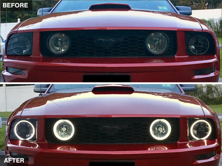 Raxiom 05-09 Ford Mustang GT V6 Axial Series CCFL Halo Projector Headlight- Blk Housing (Smkd Lens) - Bull Strap