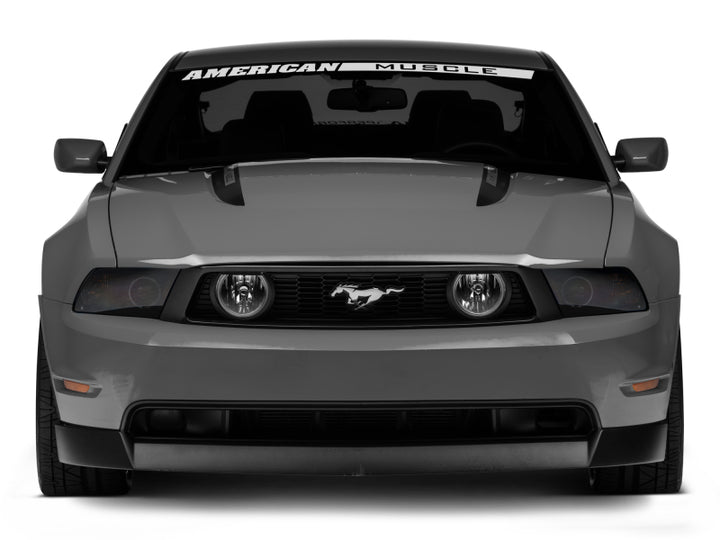 Raxiom 05-12 Ford Mustang GT LED Halo Fog Lights (Chrome) - Bull Strap