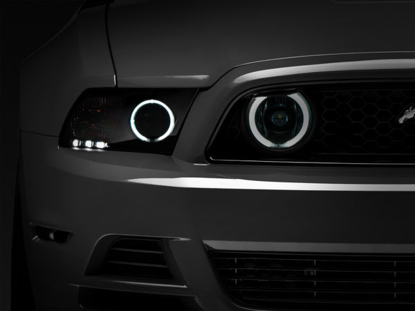 Raxiom 13-14 Ford Mustang GT CCFL Halo Fog Lights (Smoked) - Bull Strap