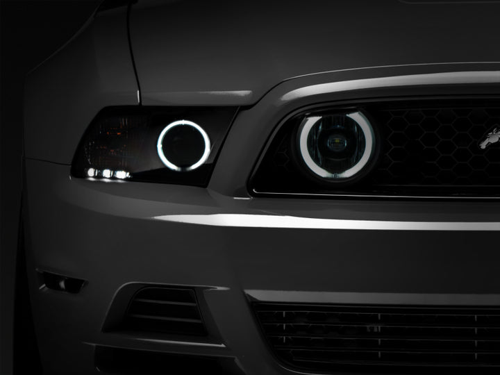 Raxiom 13-14 Ford Mustang GT CCFL Halo Fog Lights (Smoked) - Bull Strap