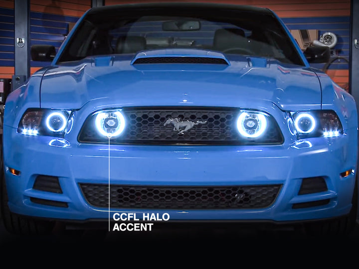 Raxiom 13-14 Ford Mustang GT CCFL Halo Fog Lights (Smoked) - Bull Strap