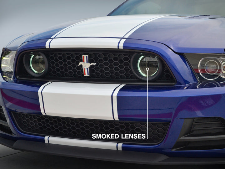 Raxiom 13-14 Ford Mustang GT CCFL Halo Fog Lights (Smoked) - Bull Strap