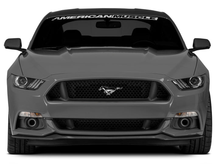 Raxiom 15-17 Ford Mustang LED Halo Fog Lights (w/ Factory Fog Lights) - Bull Strap