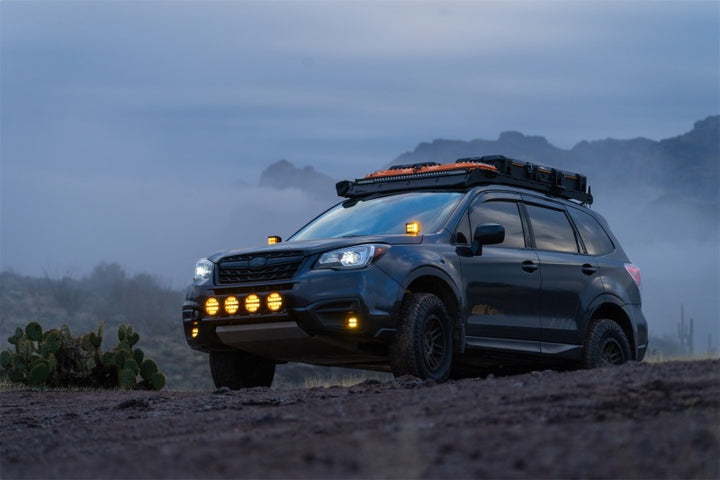 Rigid Industries D-SS Spot w/ Amber PRO Lens (Pair) - Bull Strap