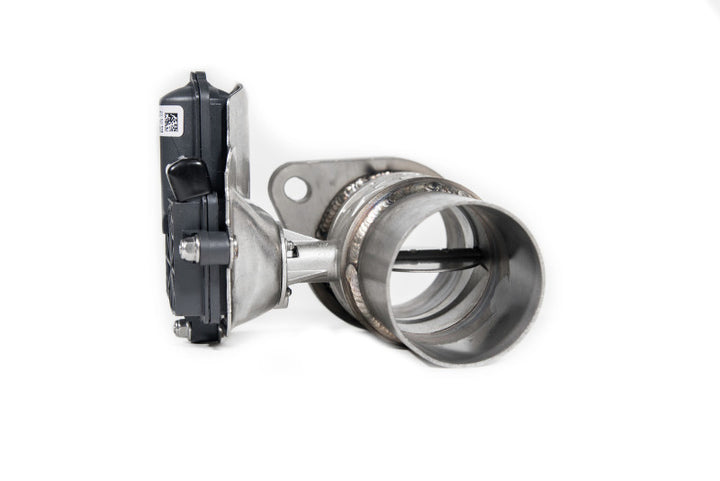 Roush 2015-2020 Ford F-150 2.7L/3.3L/3.5L/5.0L Active Cat-Back Exhaust Kit(Excl. Raptor & Short Cab) - Bull Strap