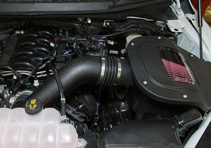 Roush 2018-2024 F-150 5.0L V8 Cold Air Intake Kit - Bull Strap
