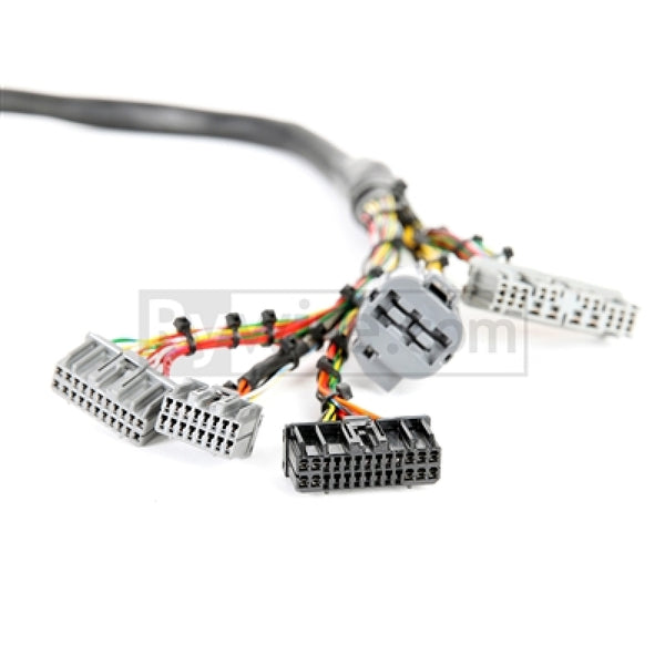 Rywire Honda B/D-Series Mil-Spec Eng Harness w/OBD1 Dist/Inj/Alternator & 92-95 Plugs (Adapter Req) - Bull Strap