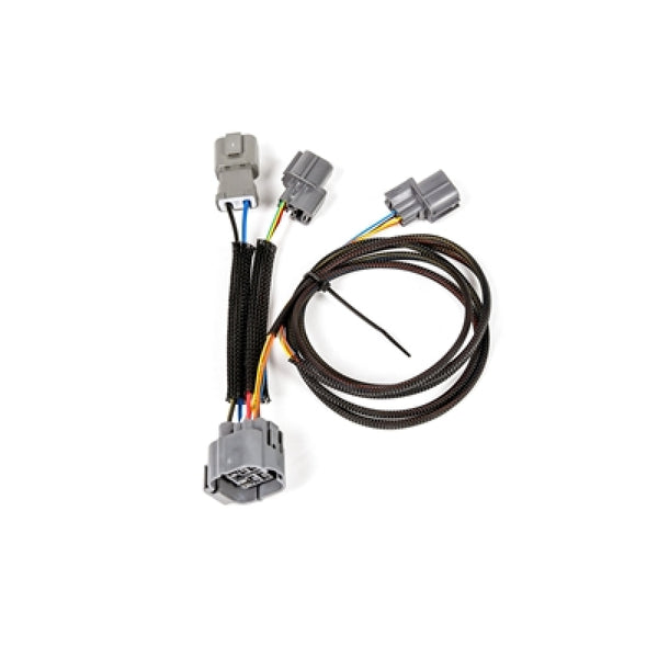 Rywire Honda Prelude (US Spec) OBD2 to OBD2 10-Pin Distributor Adapter - Bull Strap