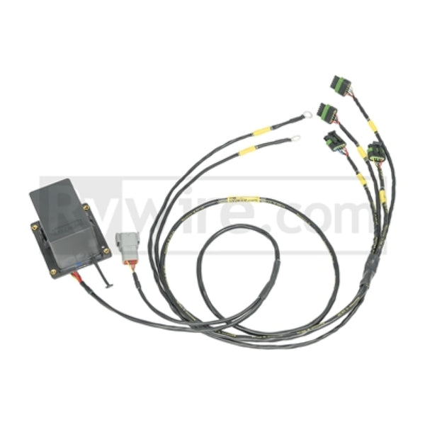 Rywire IGBT (AEM/IGN-1A) Coil Sub-Harness for 2 Rotor Engines - Bull Strap
