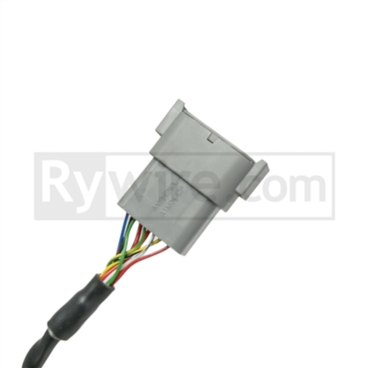 Rywire Switch Panel (6 Toggles / Will Not Work w/PDM Systems) - Bull Strap