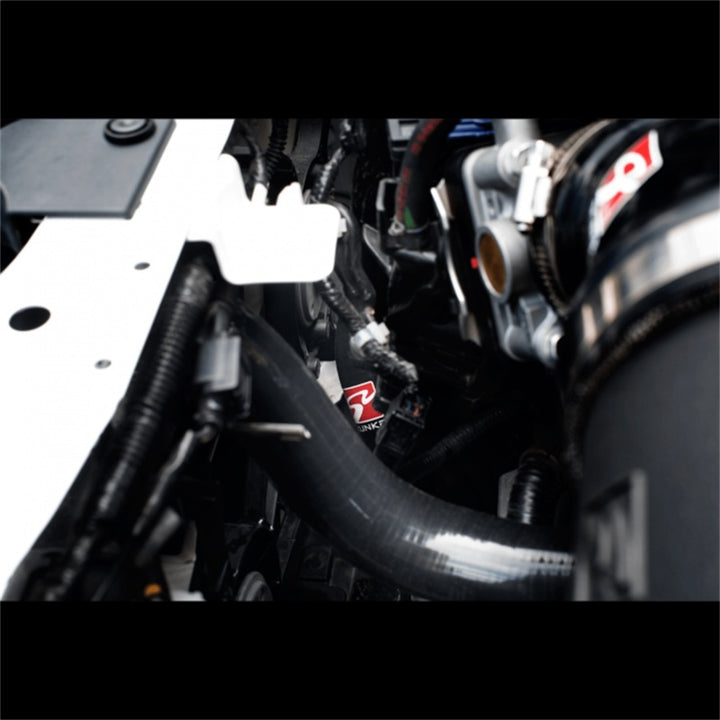 Skunk2 12-3 Honda Civic Si Radiator Hose Kit - Bull Strap