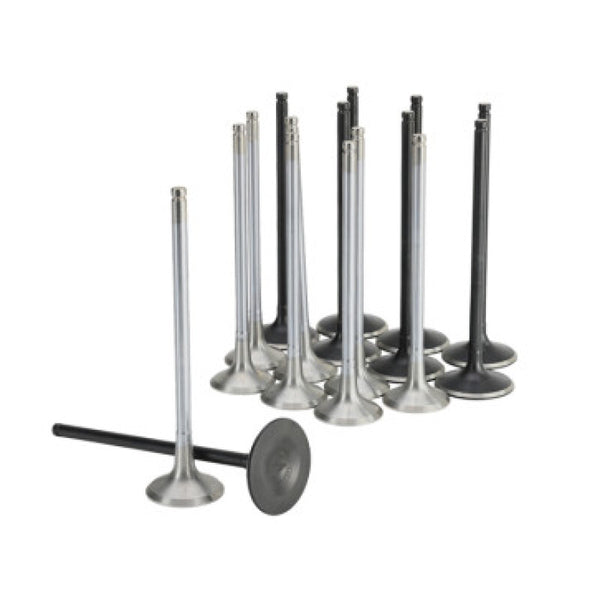 Skunk2 Honda K20C1 Alpha Series Intake & Exhaust Valve Set (Standard Compression) - Bull Strap