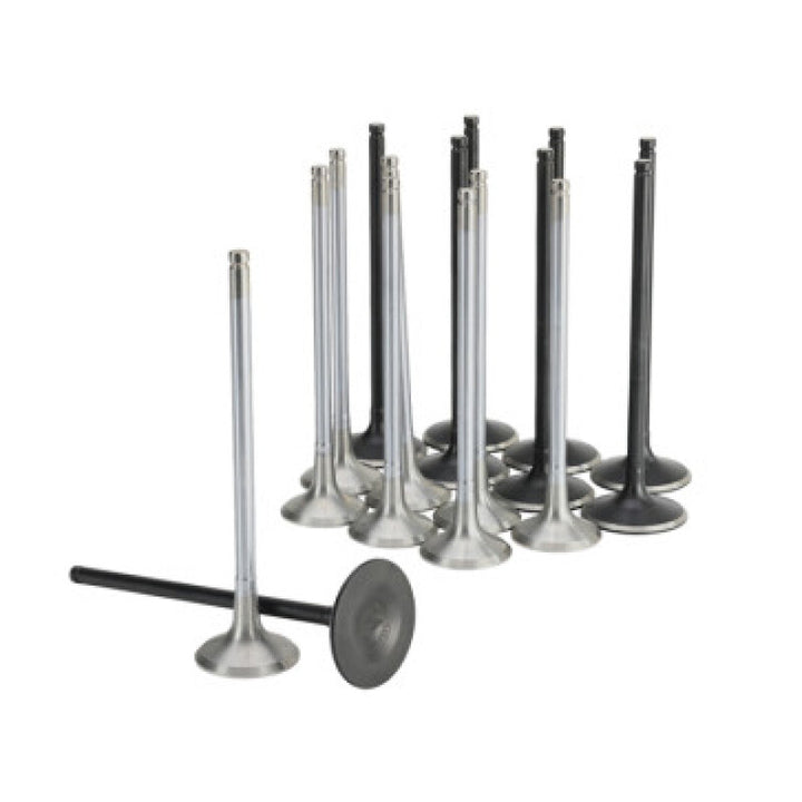 Skunk2 Honda K20C1 Alpha Series Intake & Exhaust Valve Set (Standard Compression) - Bull Strap