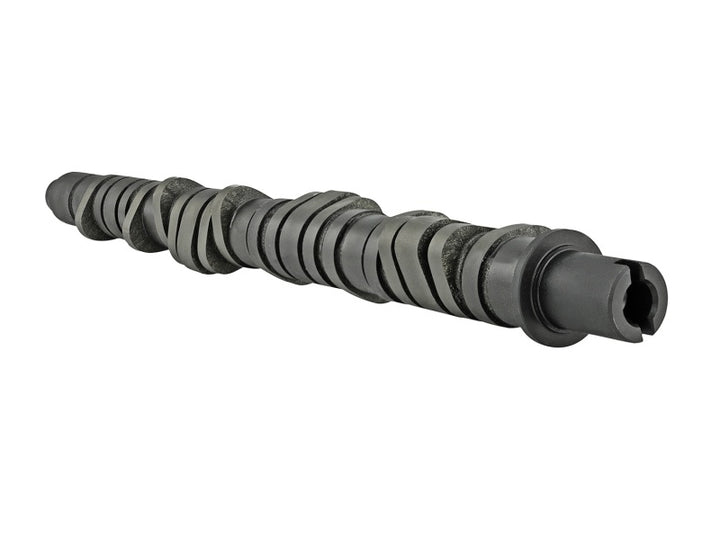 Skunk2 Tuner Series D-Series Honda Stage 4 Camshaft - Bull Strap