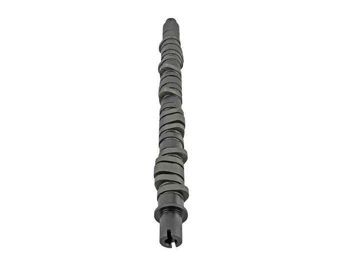 Skunk2 Tuner Series D-Series Honda Stage 4 Camshaft - Bull Strap