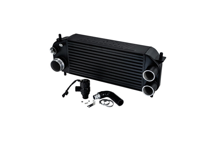 Turbosmart Ford F-150 2.7L/3.5L Ecoboost Performance Intercooler w/Recirculating BOV - Black - Bull Strap
