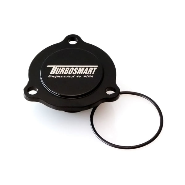 Turbosmart Ford Focus ST 2.0 EcoBoost / BorgWarner EFR Kompact Blanking Plate - Bull Strap