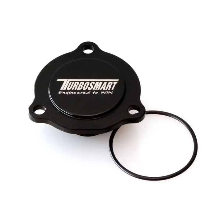 Turbosmart Ford Focus ST 2.0 EcoBoost / BorgWarner EFR Kompact Blanking Plate - Bull Strap