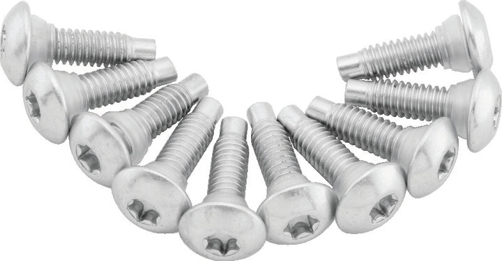 Twin Power 01-17 Softail Models 02-07 FLH FLHT Fuel Pump Plate Screw Kit Replaces H-D 1311D - Bull Strap