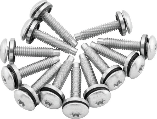 Twin Power 04-17 Dyna Models Fuel Pump Plate Screw Kit Replaces H-D 1331 - Bull Strap