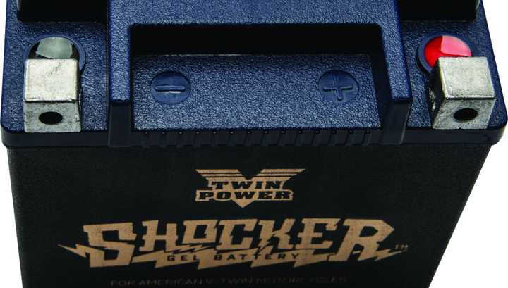 Twin Power YTX-14L Shocker Gel Battery Replaces H-D 65958-04 220 CCA - Bull Strap
