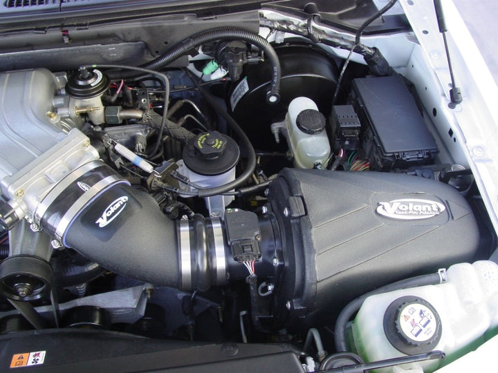 Volant 01-04 Ford F-150 5.4 V8 Pro5 Closed Box Air Intake System - Bull Strap