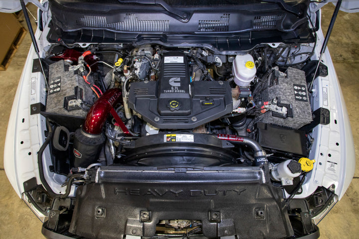 Wehrli 10-18 Dodge 6.7L Cummins (Non 13-15 w/Dual Rads/Twin CP3) Upper Coolant Pipe - Bengal Red - Bull Strap
