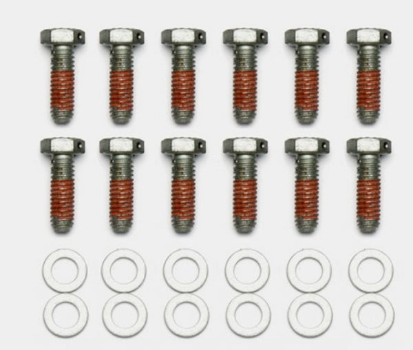 Wilwood Bolt Kit - 5/16-18 x 1.00 LG - 12 pk - Bull Strap