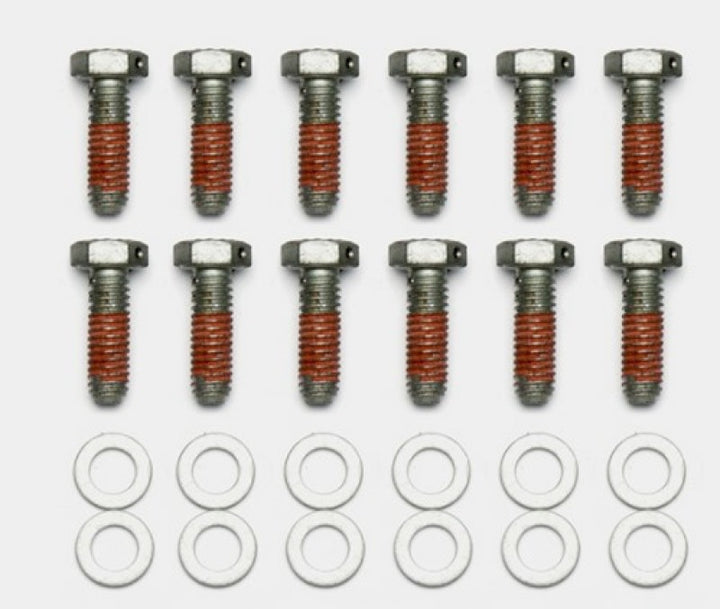 Wilwood Bolt Kit - 5/16-18 x 1.00 LG - 12 pk - Bull Strap