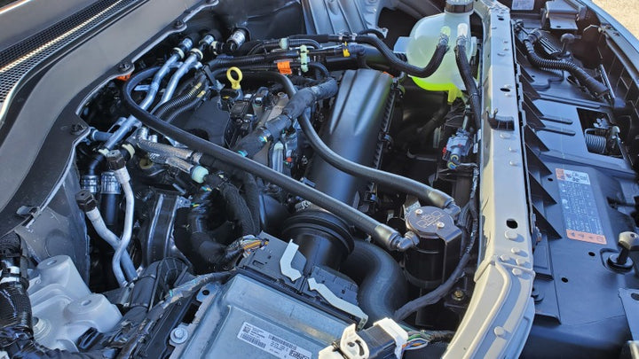 J&L 2025 Ford Explorer 2.3L EcoBoost 3.0 PVC Side Oil Separator - Black Anodized - Bull Strap