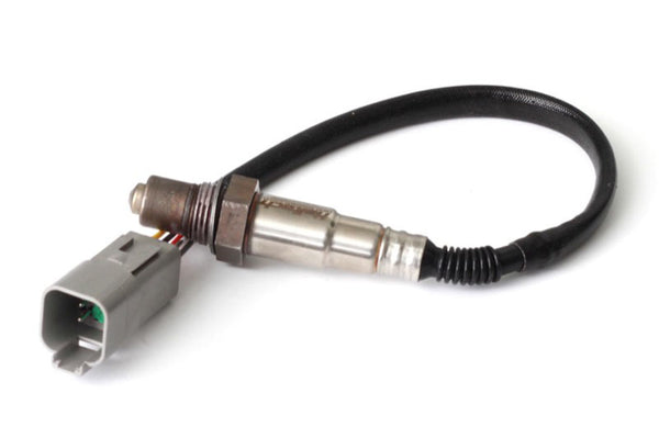 Haltech Wideband O2 Sensor (Bosch LSU 4.2) - Bull Strap