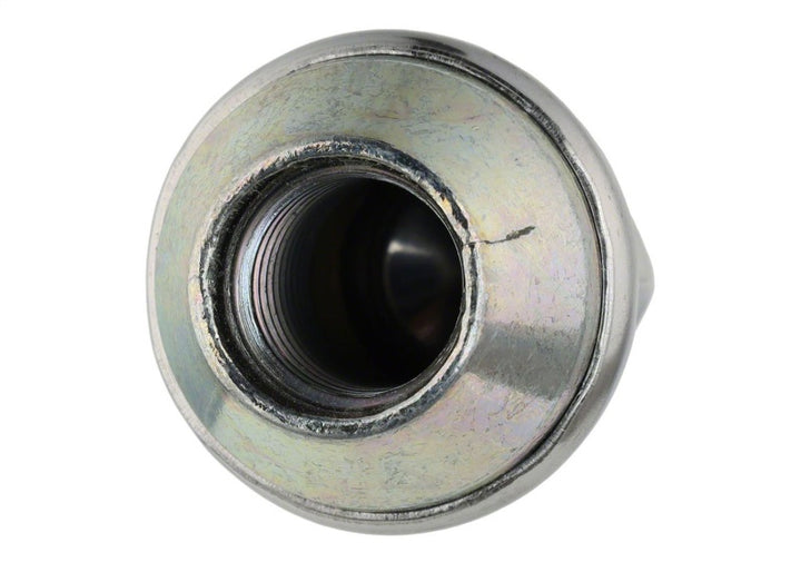 Ford Racing Lug Nuts - Bull Strap