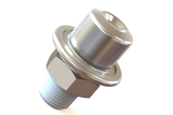 Radium Engineering Fuel Pulse Damper - Bull Strap