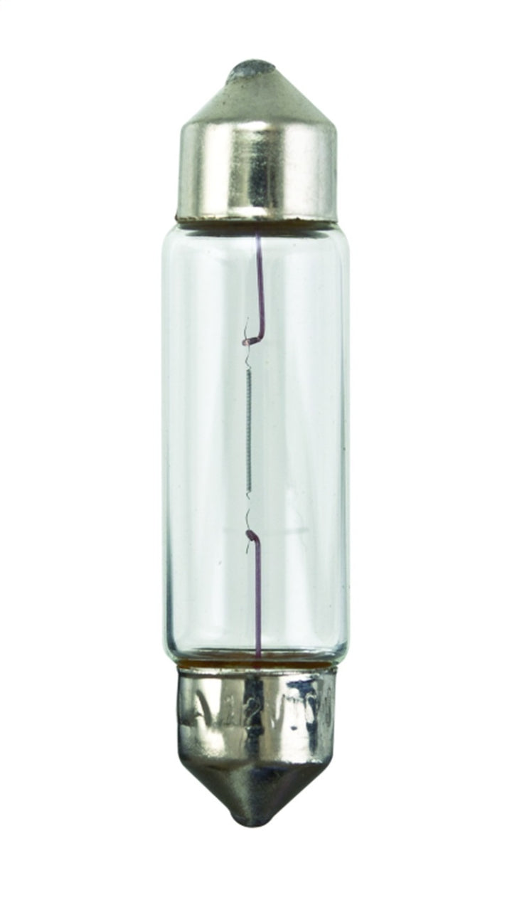Hella Universal Clear 12V 10W 10x41mm T3.25 Bulb - Bull Strap