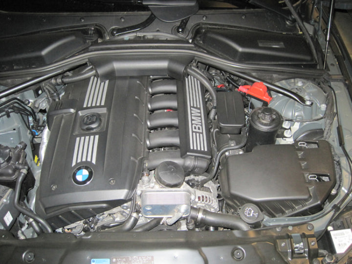 K&N 04 BMW 525i 2.5L-L6 Drop In Air Filter - Bull Strap