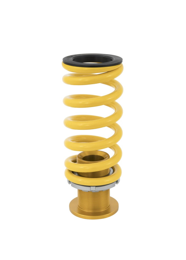 Ohlins 17-21 Honda Civic Type R (FK8) 23 Honda Civic Type R (FL5) Road & Track Coilover System - Bull Strap