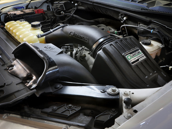 aFe 15-20 Ford F-150 Quantum Cold Air Intake System w/ Pro Dry S Filter - Bull Strap