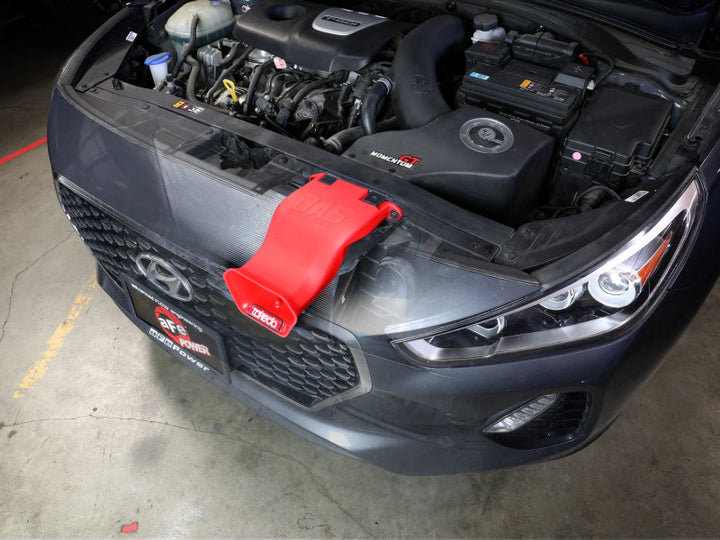 aFe 18-20 Hyundai Elantra GT L4-1.6L (t) Takeda Momentum Dynamic Air Scoop - Red - Bull Strap