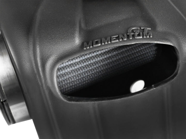 aFe MagnumFORCE Intakes Pro Dry S 04-14 Nissan Titan V8 5.6L - Bull Strap