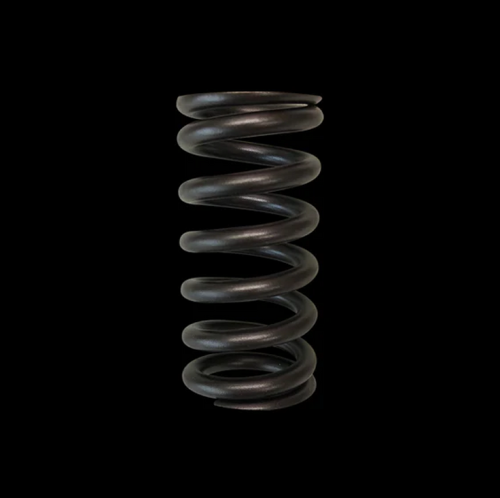 Brian Crower Toyota 2ZZFE Single Valve Spring - Bull Strap