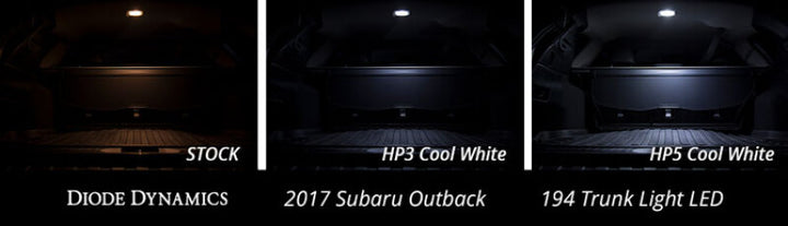 Diode Dynamics 921 LED Bulb HP36 LED - Cool - White (Single) - Bull Strap