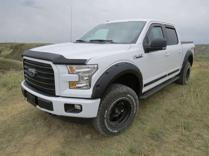 EGR 15+ Ford F150 Superguard Hood Shield - Matte (303475) - Bull Strap