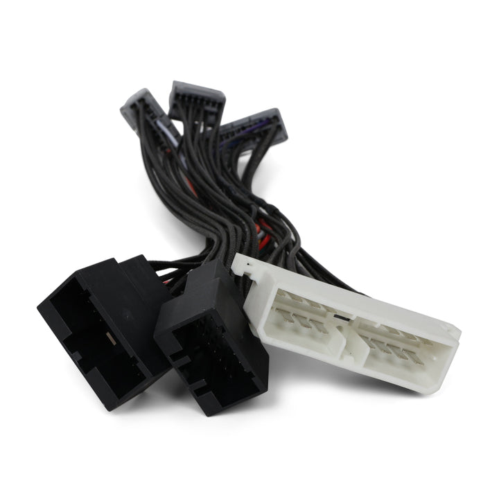 BLOX Racing Honda OBD0 - OBD1 ECU Jumper Harness - Bull Strap