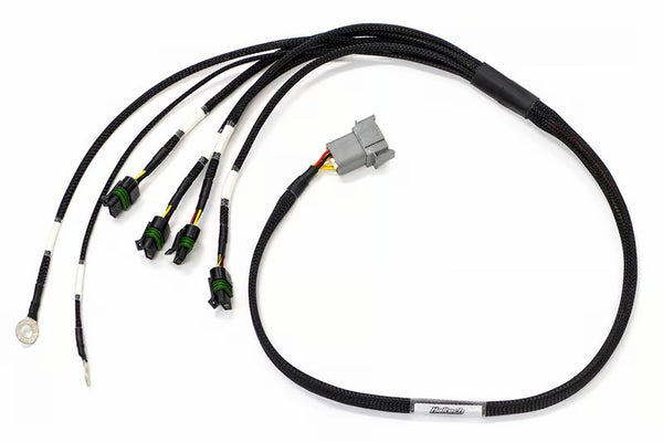 Haltech Elite 1000/1500 Terminated Ignition Harness - Bull Strap