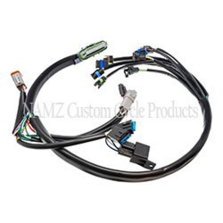 NAMZ 02-03 V-Twin Dresser Models ONLY OEM Complete EFI Harness - Bull Strap